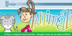 Kids website and interactive learning application and games